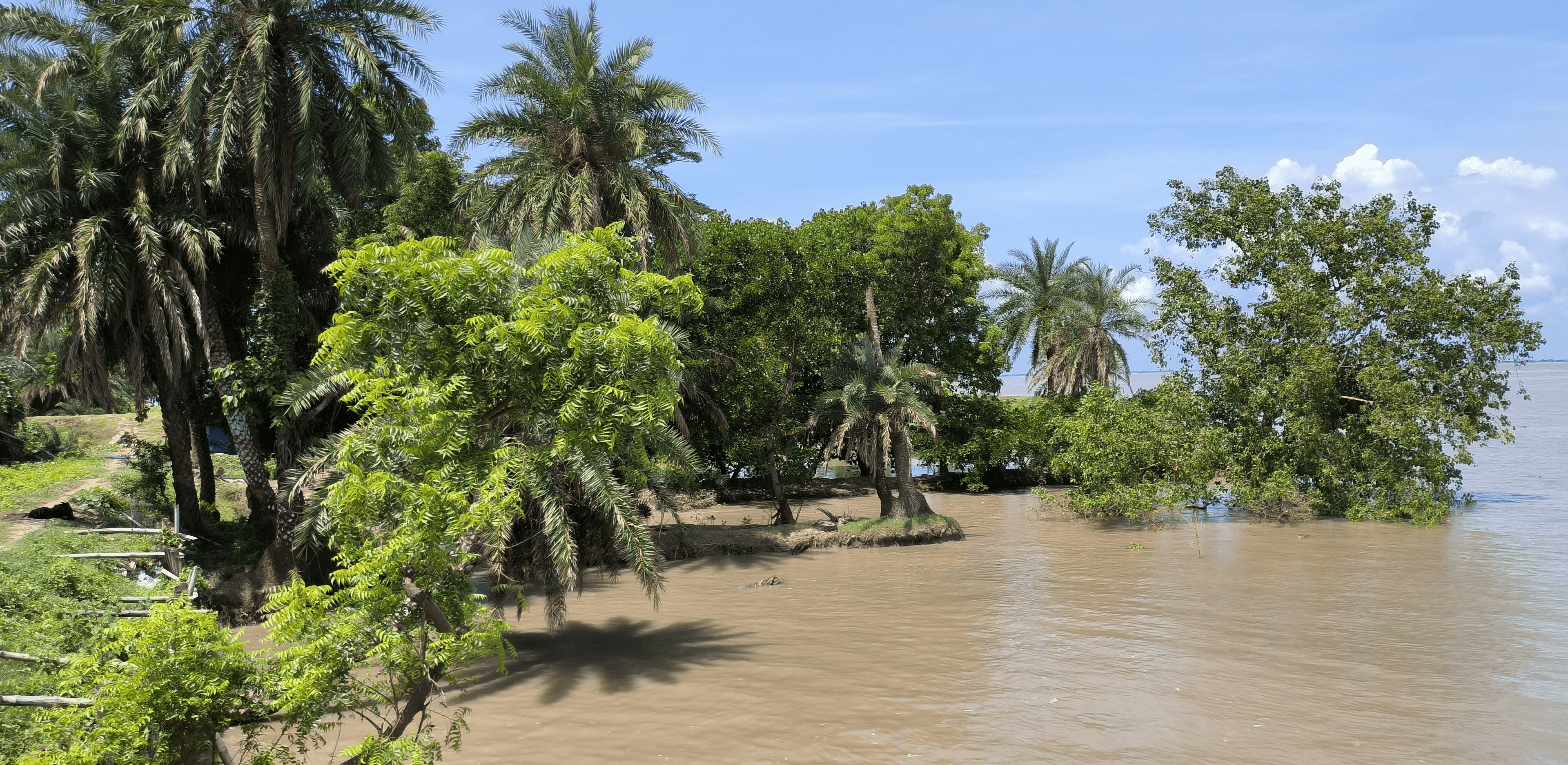 Environmental Conservation